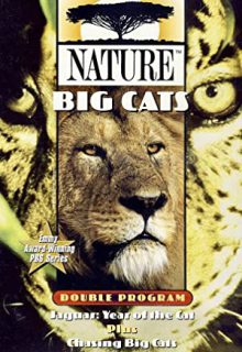 دانلود سریال یک هفته با گربه‌ سانان Chasing Big Cats 2004 ✔️ زیرنویس فارسی