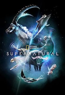 دانلود سریال فوق طبیعی Super/Natural 2022 ✔️ دوبله و زیرنویس فارسی