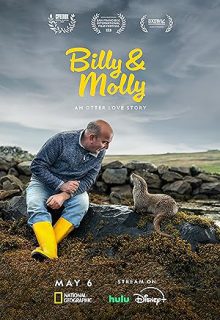 دانلود مستند بیلی و مولی داستان عشق سمور 2024 Billy and Molly An Otter Love Story زیرنویس فارسی